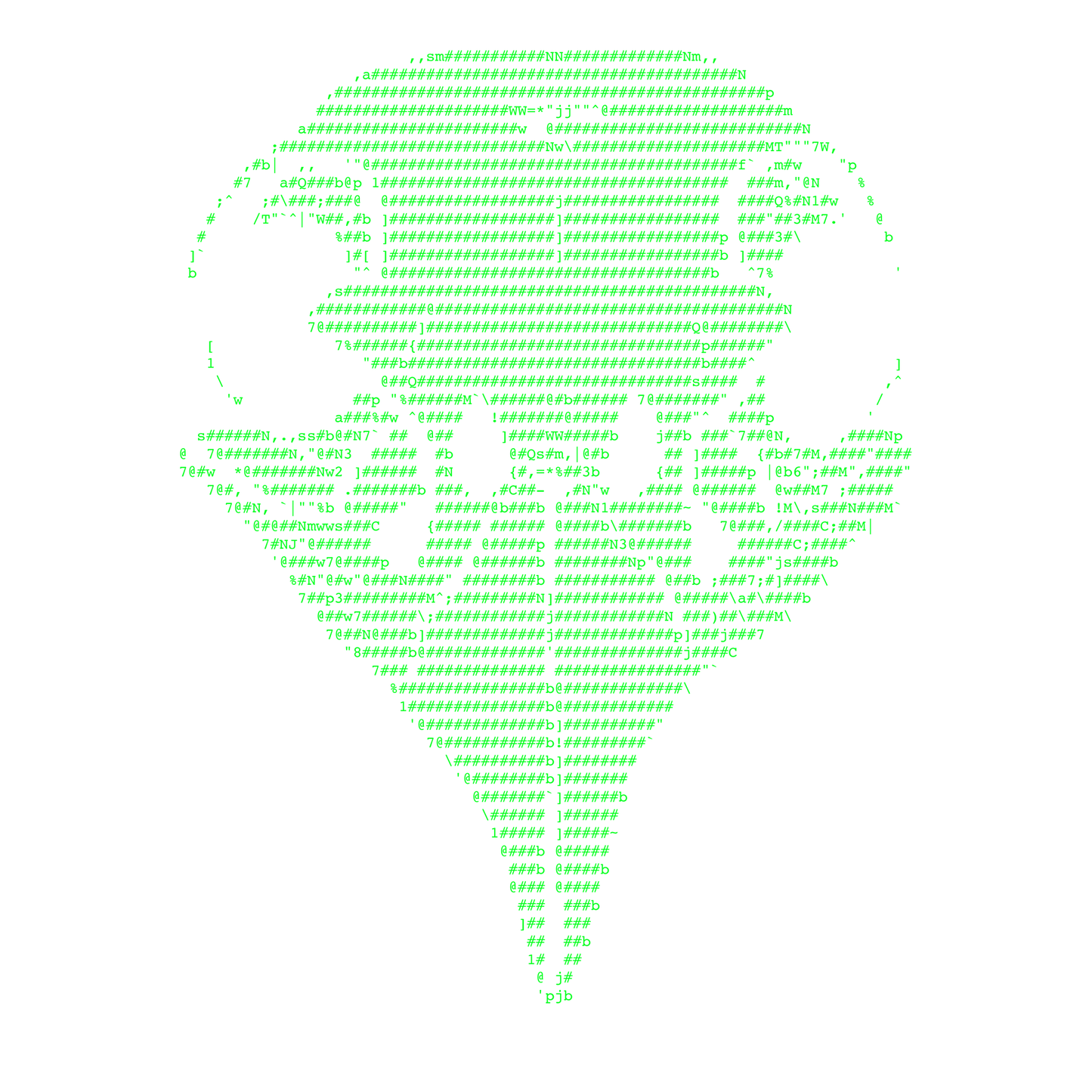 Eagle Skull Logo T in ASCII